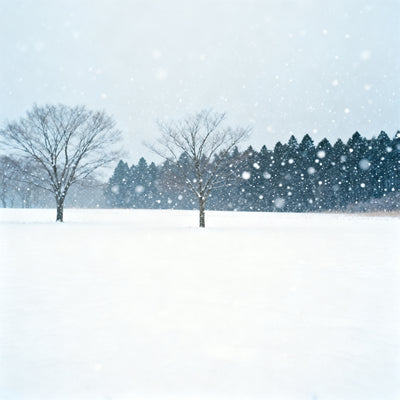 Fresh Snow (Type) Fragrance Oil
