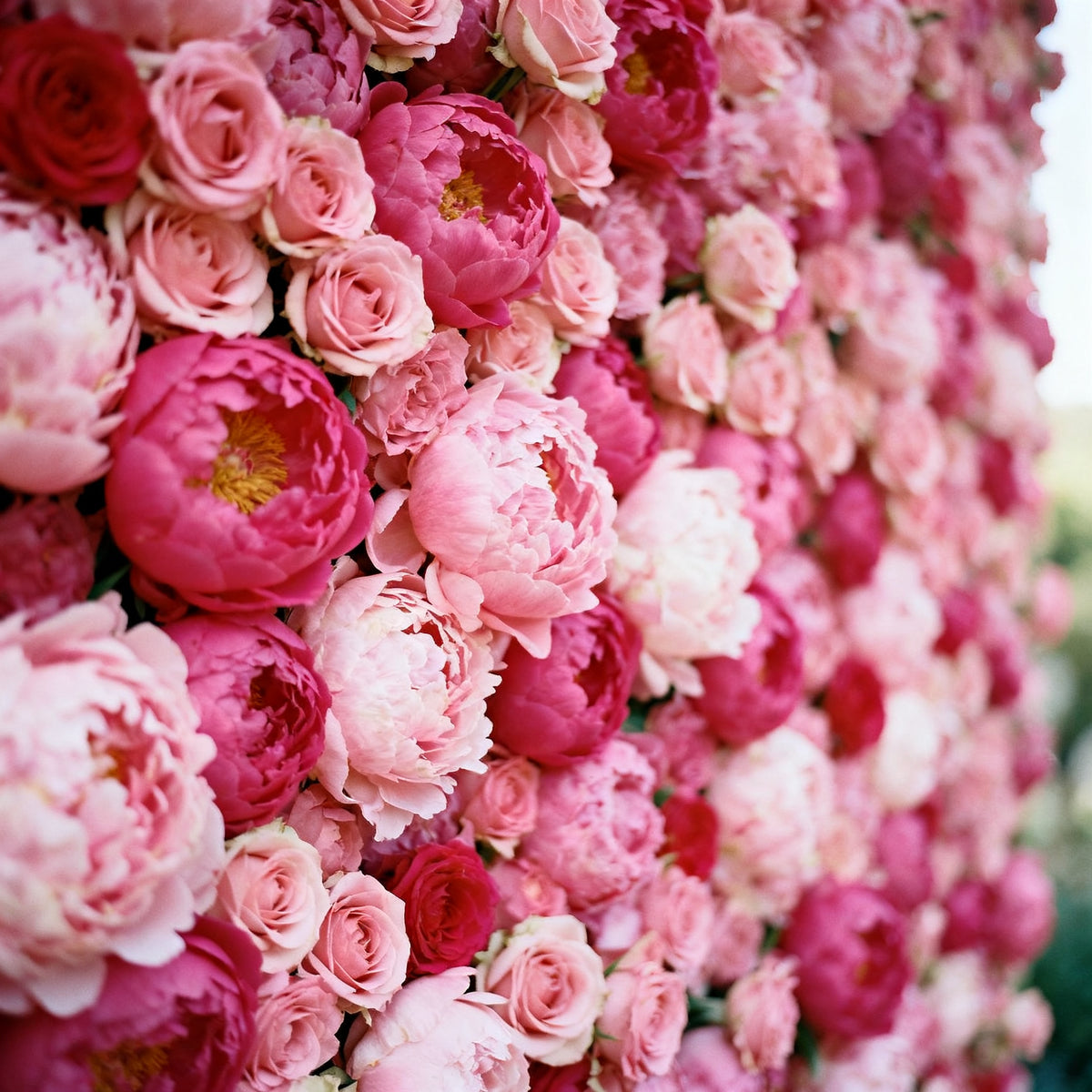 Viva La Juicy (Type) Fragrance Oil