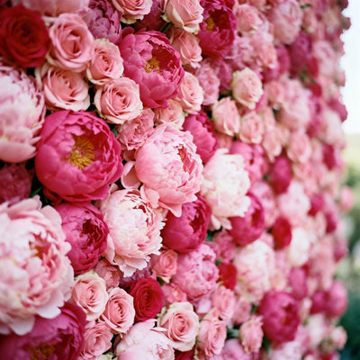 Viva La Juicy (Type) Fragrance Oil