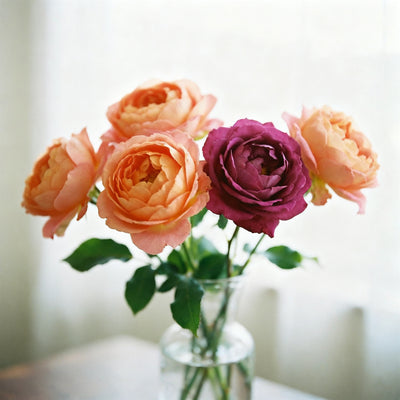 Flowerbomb (Type) Fragrance Oil