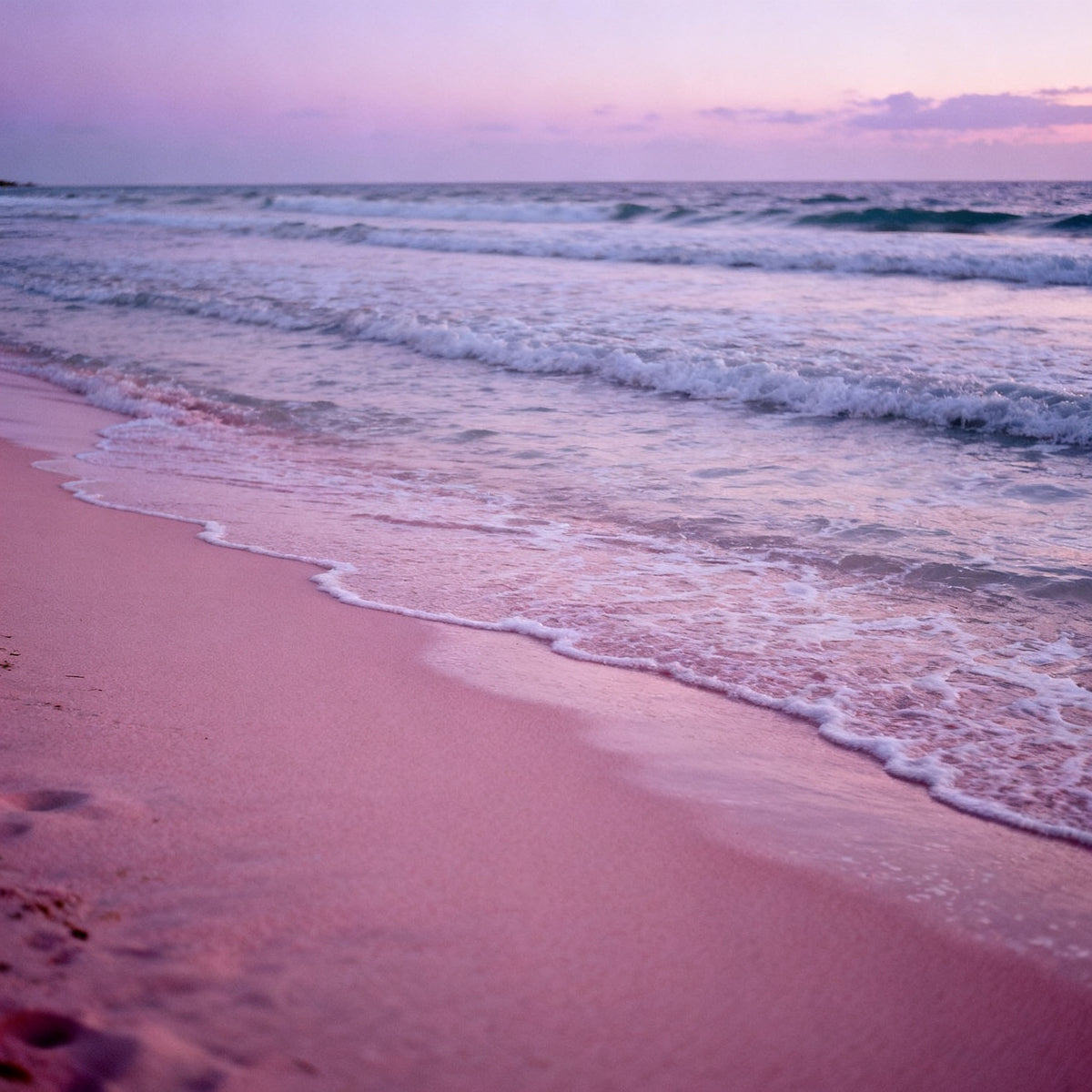 Pink Sands (Type) Fragrance Oil