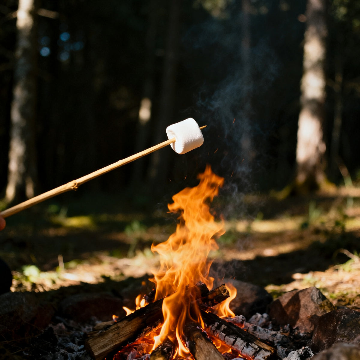 Marshmallow Fireside (Type) Fragrance Oil