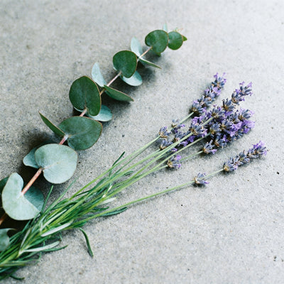 Lavender Sage (Type) Fragrance Oil