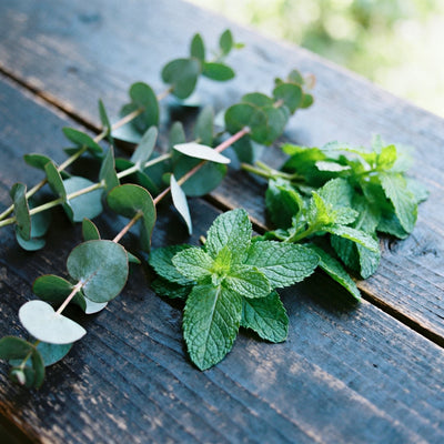 Eucalyptus Spearmint (Type) Fragrance Oil