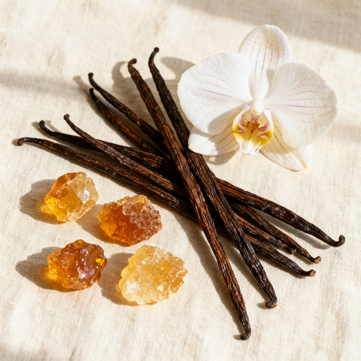 French Vanilla & Amber (Type) Fragrance Oil