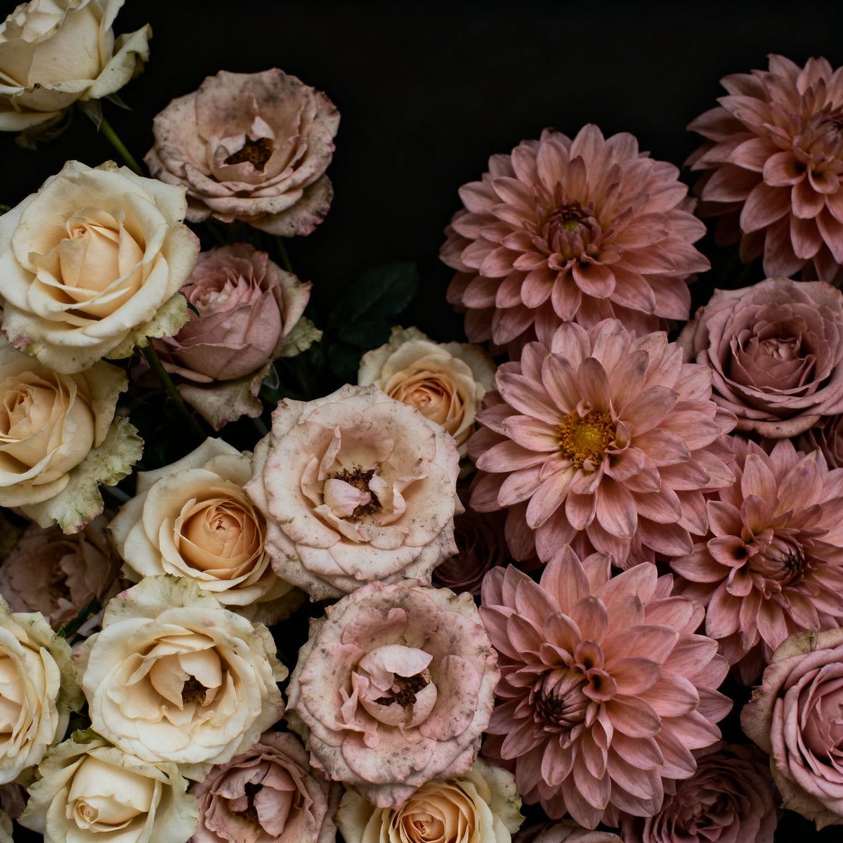 Dark Rose & Labdanum by Makesy Fragrance Oil
