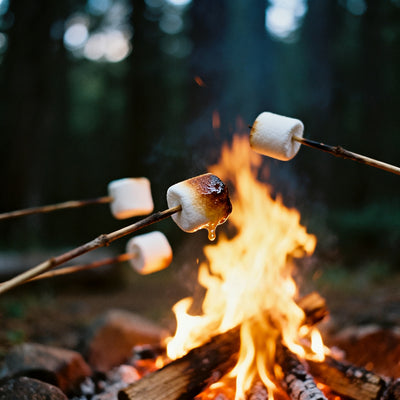 Toasted Marshmallow Fragrance Oil